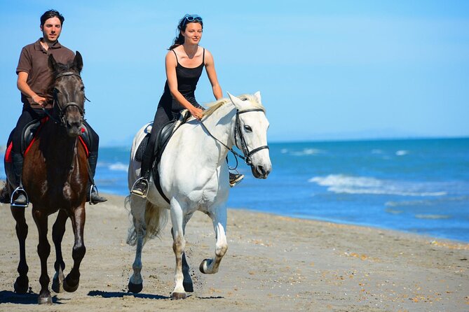 Two-Hour Horse Riding Adventure in Marsa Alam With Transfer - Booking Process