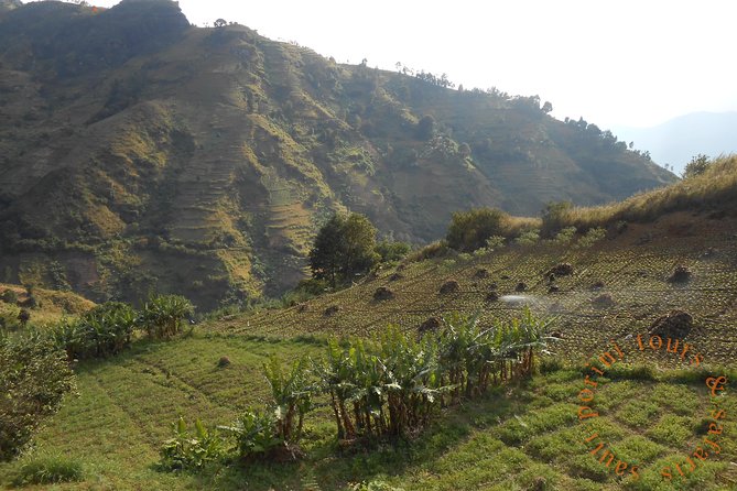 Uluguru Mountains Hike to Bondwa Peak: 2 Days 1 Night Camping - Activities