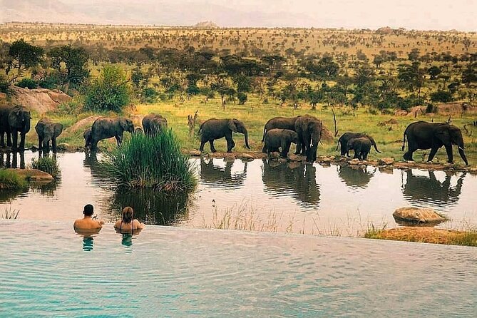 Unforgettable Safari Package With Luxury Experience - Pricing and Guarantee Details