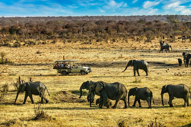 Unique High Tea Safari Game Drive in the Savannah - Frequently Asked Questions