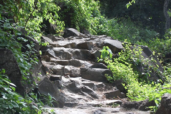 Victoria Falls Tour From Livingstone - Picnic Lunch Details
