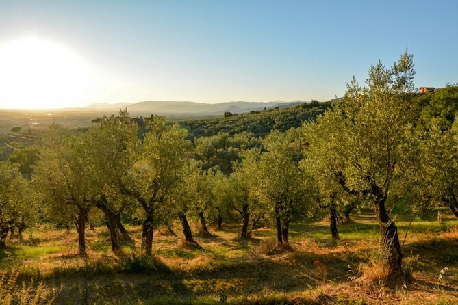 Vinci: Wine Tasting & Local Tuscan Food Dinner - Meeting Point: Via Orbignanese, 123