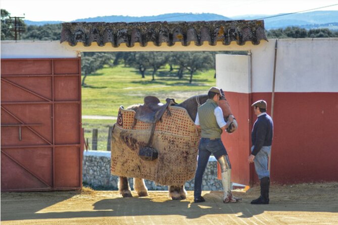 Visit to a Brave Bull Farm in Andalusia - Directions for the Visit