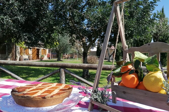 Visit to the Vivinatura and Wine Tasting Farm in Pompeii - Cancellation Policy and Price