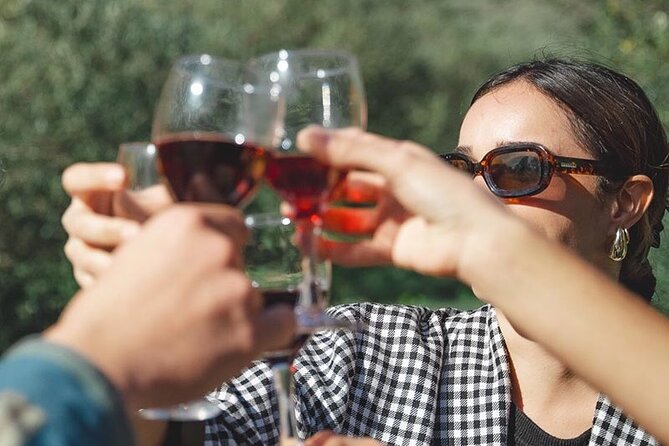 Visit to Vineyards and Tastings Departing From Béziers - Pricing and Reservation Details