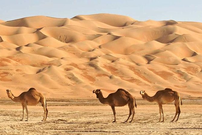 Wahiba Sands and Desert Safari From Muscat - Additional Information