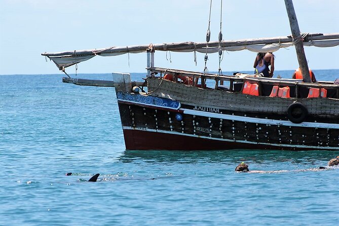 Wasini Dolphin Snorkeling - Meeting and Pickup