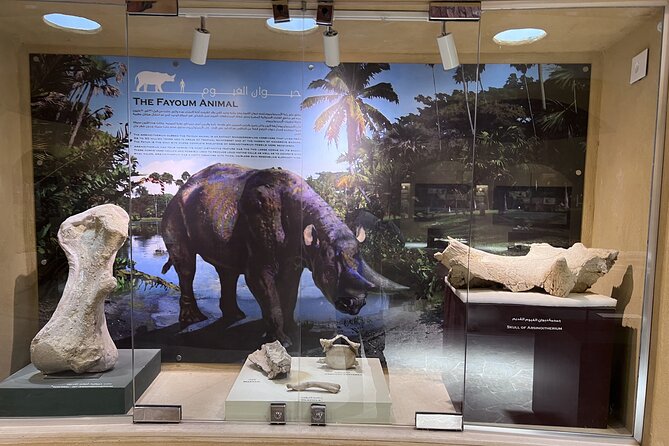 Whales Valley Museum, Magic Lake and Waterfalls in Faiyum Desert - Viator Experience and Customer Reviews