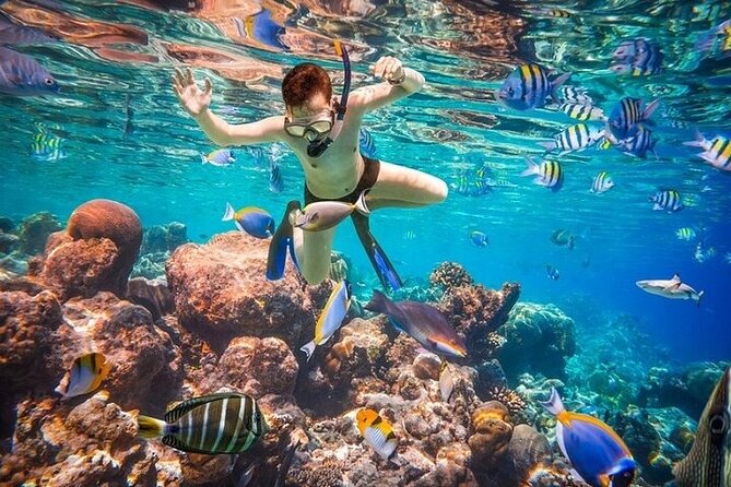 White Island and Ras Mohamed Island Tour From Sharm El Sheikh - Tour Logistics