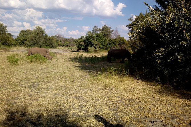 White Rhino Walk in the Mosi Oa Tunya - Cancellation Policy