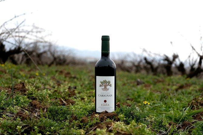 Wine Tasting and Culture - The Sum Up