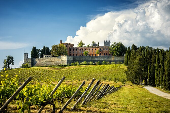 Wine Tasting in Brolio Castle Gardens From Florence by Car - The Sum Up