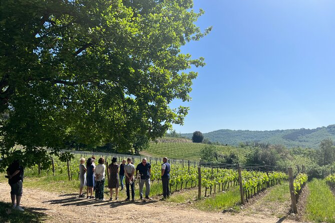 Wine Tasting Tour From La Spezia to Lucca Tuscany Italy - The Sum Up