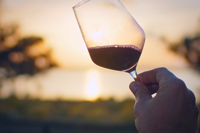 Wine Tour With Tasting in the Natural Park of La Mata - Reservation Details