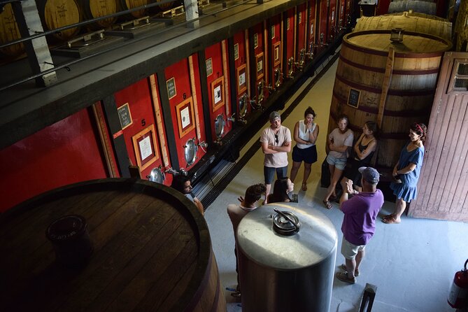 Winery Tour and Tasting in Douro Valley - Tour Highlights