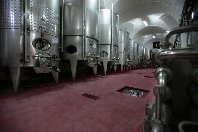 Winery Tour and Tasting in Salento - Inclusions and Amenities