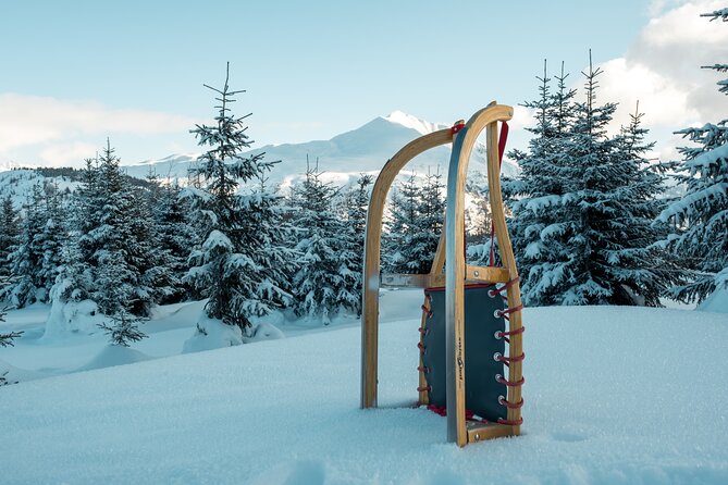Winter Adventure Day in Mountains: Quad Bikes, Sledge, Wellness - Giant Mountain Visit Highlights