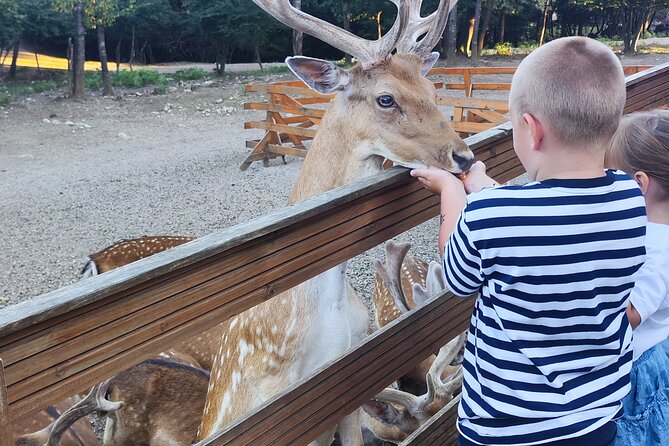 Zagreb, Plitvice Lakes, and Deer Ranch Discovery Tour - Frequently Asked Questions
