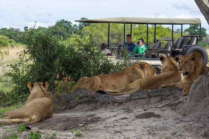 Zambezi National Park AM or PM Game Drive - Guest Reviews