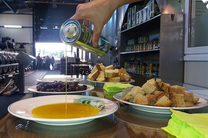Zante Small Group Bohali Views, Wine and Oil Tasting Tour - The Sum Up