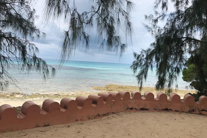 Zanzibars Finest: Private Tour of Top 5 Attractions With Lunch - Reviews and Recommendations