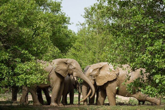 5Days Ghana Safari Tour - Good To Know