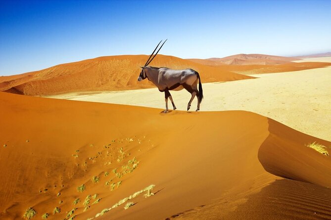 6 Day Private Guided Accommodated Namibian Loop - Good To Know