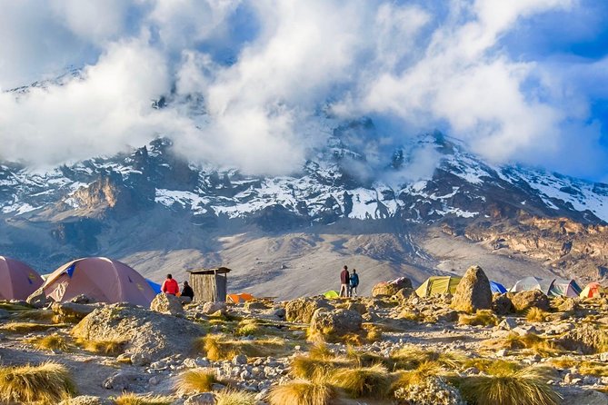 6-Day Private Guided Hiking Tour to Kilimanjaro Umbwe Route - Good To Know