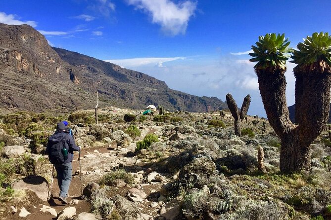 6 Day Private Kilimanjaro Climbing Via Rongai Route - Good To Know