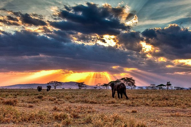 6 Days / 5 Nights Join Group Safari - Good To Know