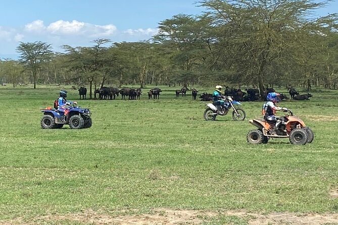 6 Days Off-Road Motorbike Wildlife Tour of the Great Rift Valley Lakes - Good To Know