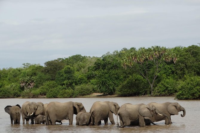 6 Days Safari to Mikumi Np, Udzungwa Mountain NP and Nyerere NP (Selous GR) - Good To Know