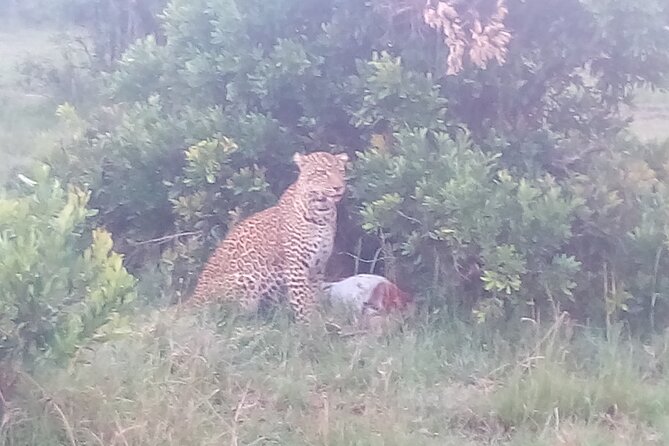 6 Days Safari to Samburu N/R, Aberdare N/P, Nakuru N/P and Maasai Mara N/R. - Aberdare National Park Adventure