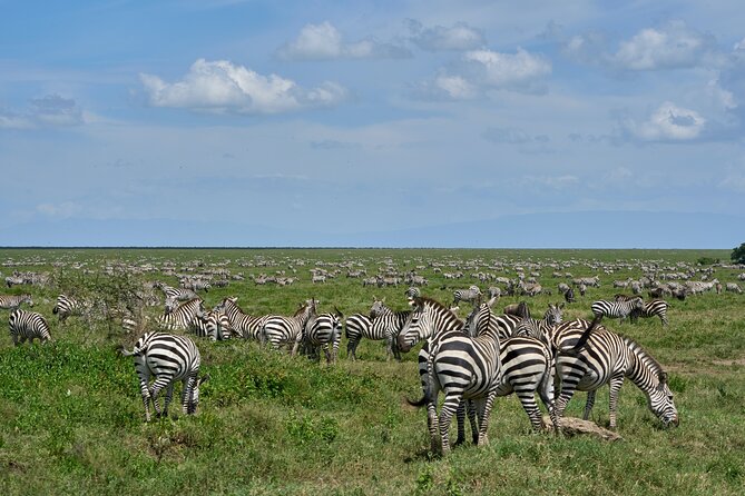 6 Days Serengeti Classic Safaris Odyssey in Tanzania - Good To Know