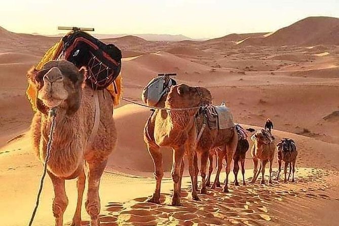 6 Daystour Fes Desert Ait Benhaddou Marrakech Private Van 7 Seats - Good To Know