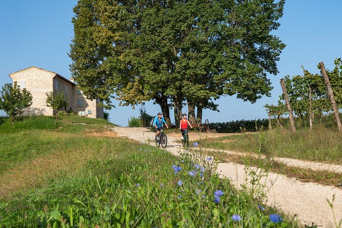 6-Hours Private Guided Tour of Prosecco by Bike - Good To Know