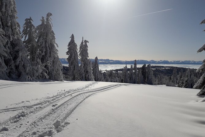 1-Day Private Snowshoe Hike in the Gorce Mountains Near Krakow - Traveler Information and Recommendations