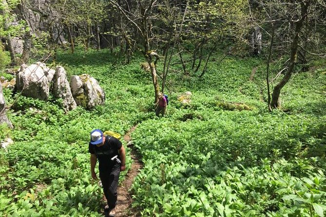 1 Day White Rocks Wilderness - Vihoraski Trail Hike From Zagreb - Inclusions and Requirements