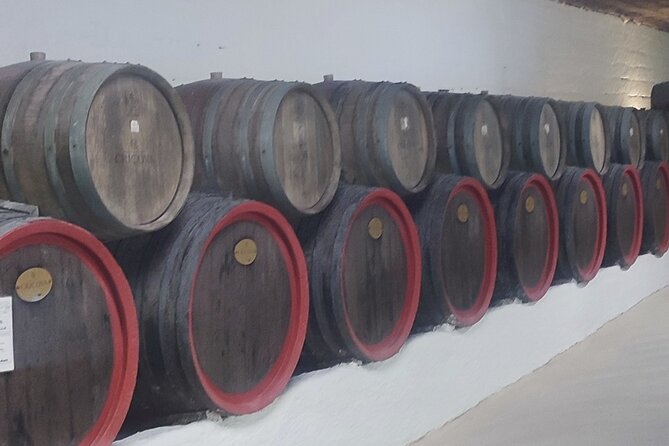 1 Day: Wine Tasting Tour to Milesti Mici and Cricova Cellar From Moldova - Pickup and Departure