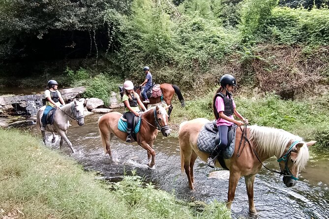 1 Hour Horseback Ride in Valgraziosa Pisa - Reviews and Ratings