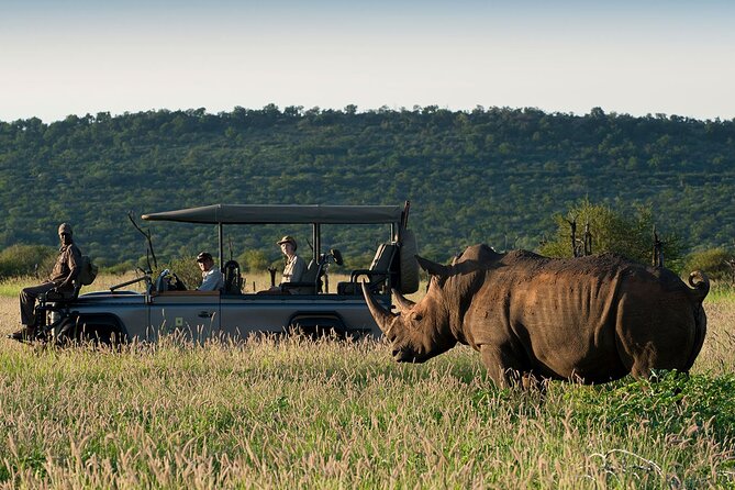 1 Night Madikwe Game Reserve - Price and Reviews Overview