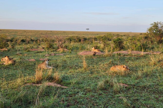 10 Days Luxury Kenya Big 5 Wildlife Adventure Private Tour - Booking and Cancellation Policies