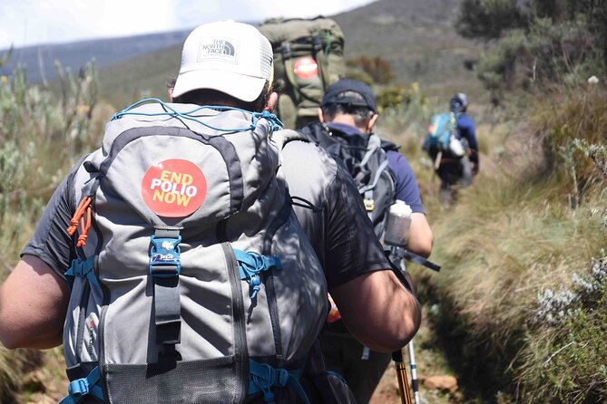 10 Days Mount Kilimanjaro Hike Northern Circuit Route - Accommodation and Meals