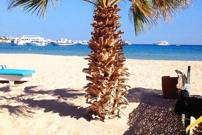 10 Days of Unique Adventure to Visit Luxor - Optional Tips and Recommendations