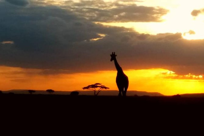 10 Days Serengeti Wildlife Safari and Tanzania Cultural Tour - Cultural Tour Activities