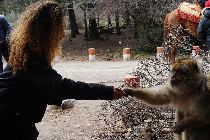 10 Luxury Days Tour to Casablanca via Desert From Marrakech - Tour Highlights