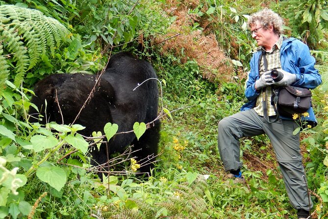 11-DAY Uganda Safari Experience Tour With Pick up - Pickup Logistics