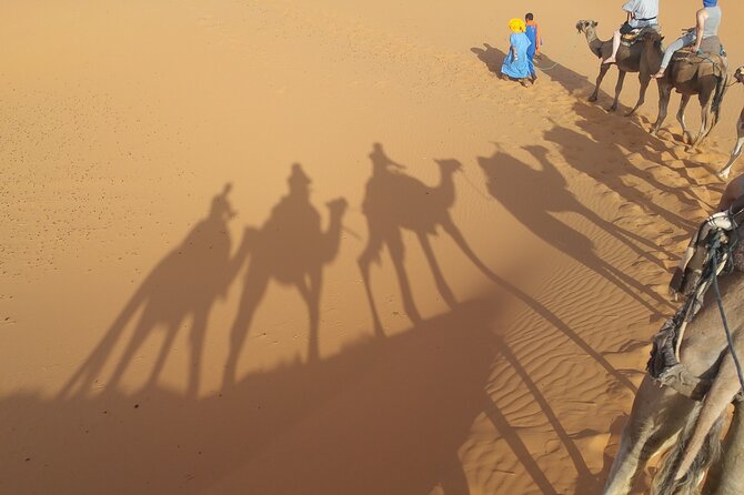 12-Day Private Moroccan Cities and Deserts Tour - Customer Reviews