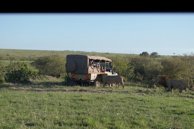 12 Days Private Safari Tour in Kenya and Tanzania - Tour Highlights