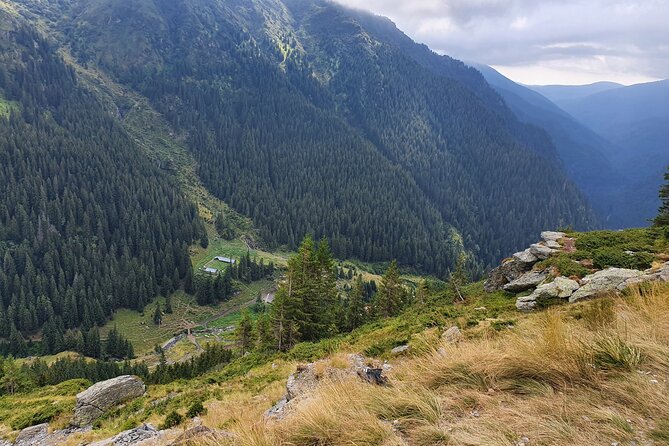 12 Days Private Tour in Romania From Bucharest - Flexible Daily Schedule